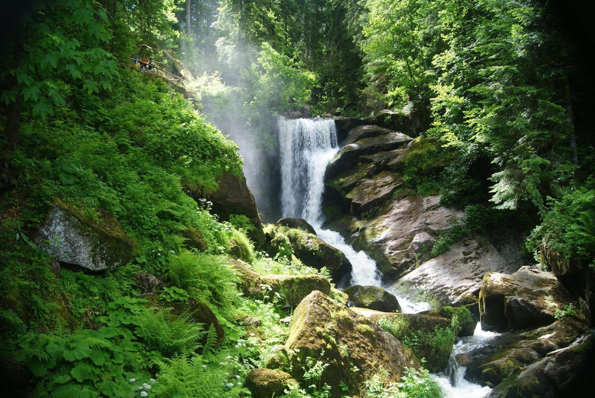 Rita - Atemberaubenden Wasserfaelle Triberg im Schwarzwald ภายนอก รูปภาพ